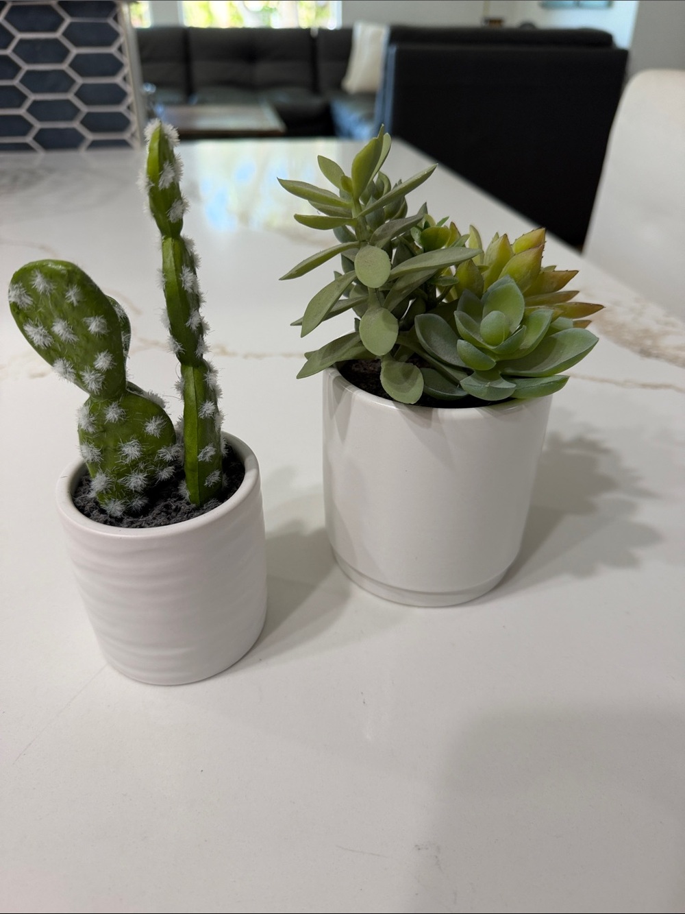 White Ceramic Succulent Planter Duo - Green Faux Succulents & Catcus